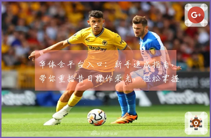 华体会平台入口：新手速成指南，带你重拾昔日操作荣光，轻松掌握新版本技巧