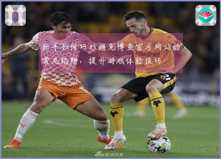 新手如何巧妙避免博鱼官方网站的常见陷阱，提升游戏体验技巧