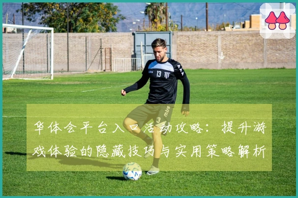 华体会平台入口活动攻略：提升游戏体验的隐藏技巧与实用策略解析