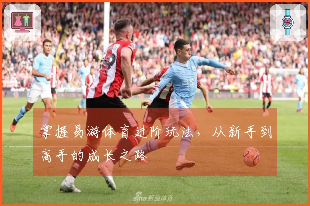 掌握易游体育进阶玩法，从新手到高手的成长之路
