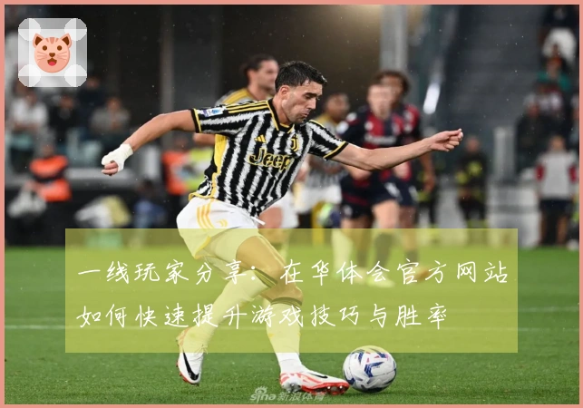 一线玩家分享：在华体会官方网站如何快速提升游戏技巧与胜率