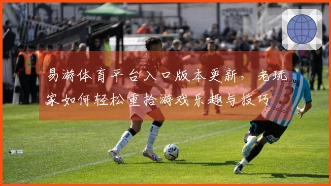 易游体育平台入口版本更新，老玩家如何轻松重拾游戏乐趣与技巧